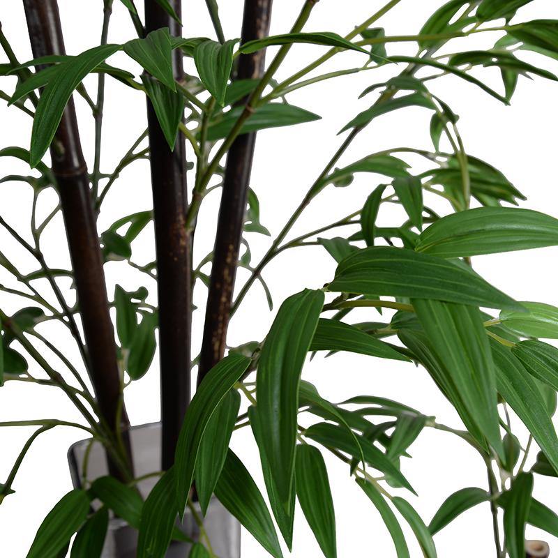 Bamboo Stalk in Glass, 44"H - New Growth Designs