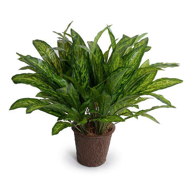 Lifelike Wholesale Artificial Aglaonema Plant Indoor 18 Inches Tall - New Growth Designs