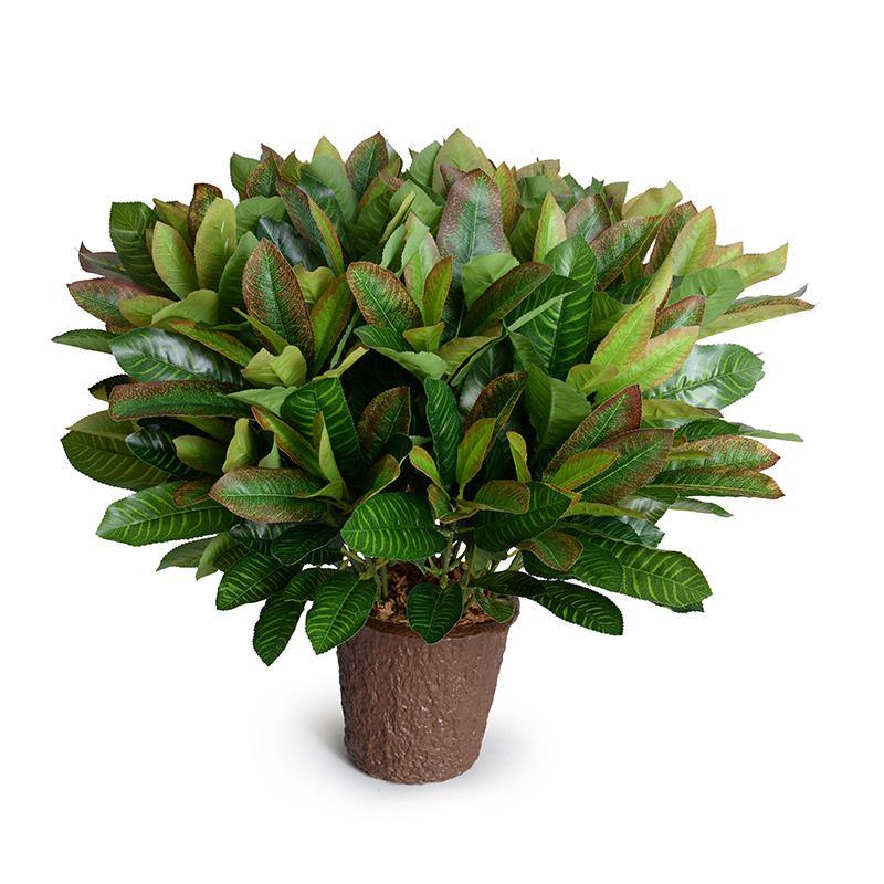 Realistic Wholesale Faux Aglaonema Plant for Contemporary Indoor Decor 20 Inches Tall - New Growth Designs
