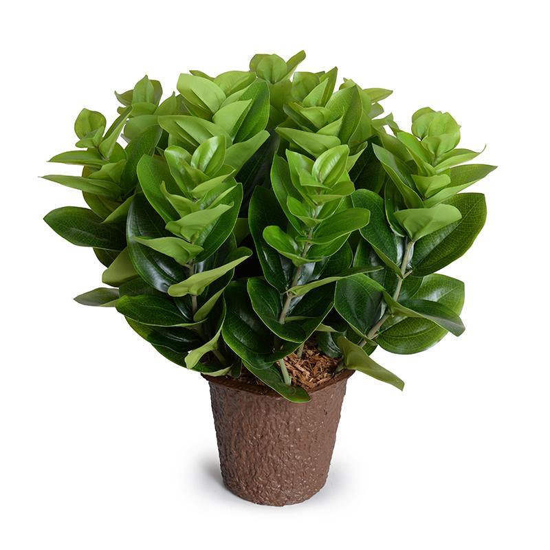 High-Quality Wholesale Faux Peperomia Indoor Plant 16 Inches Tall - New Growth Designs
