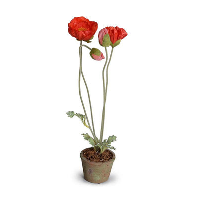 Poppy in Terracotta - Orange-red - New Growth Designs