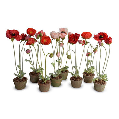 Poppy in Terracotta - Pink - New Growth Designs