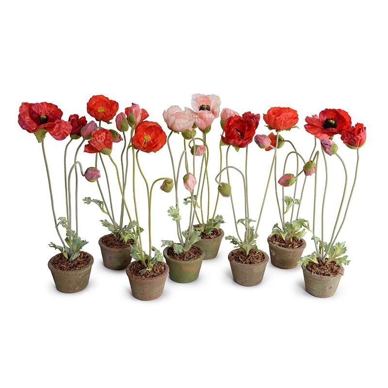 Poppy in Terracotta - Red - New Growth Designs