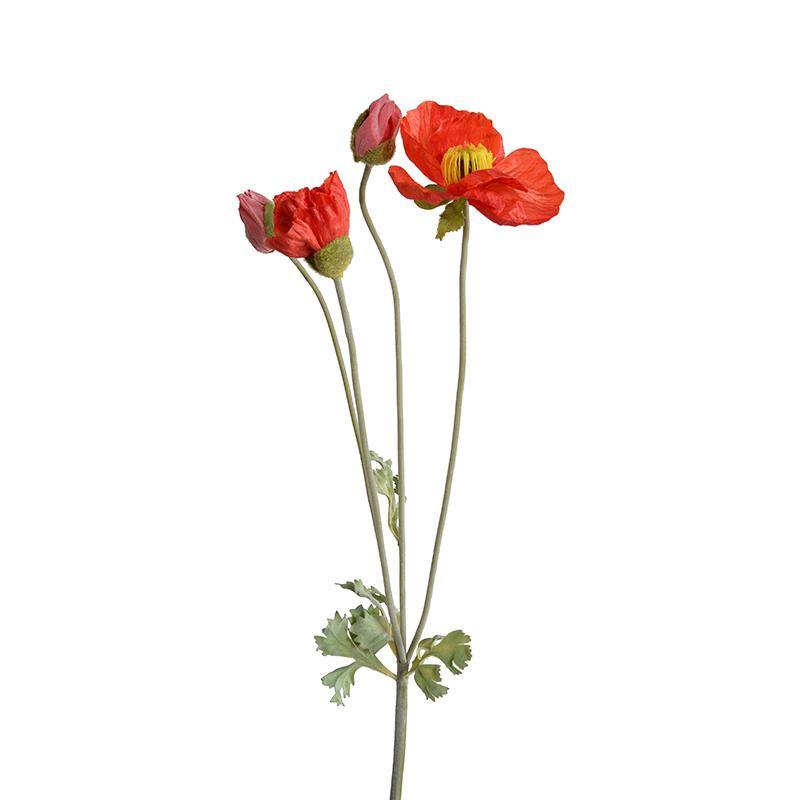 Poppy Spray - Orange-red - New Growth Designs
