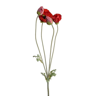 Poppy Spray - Red - New Growth Designs