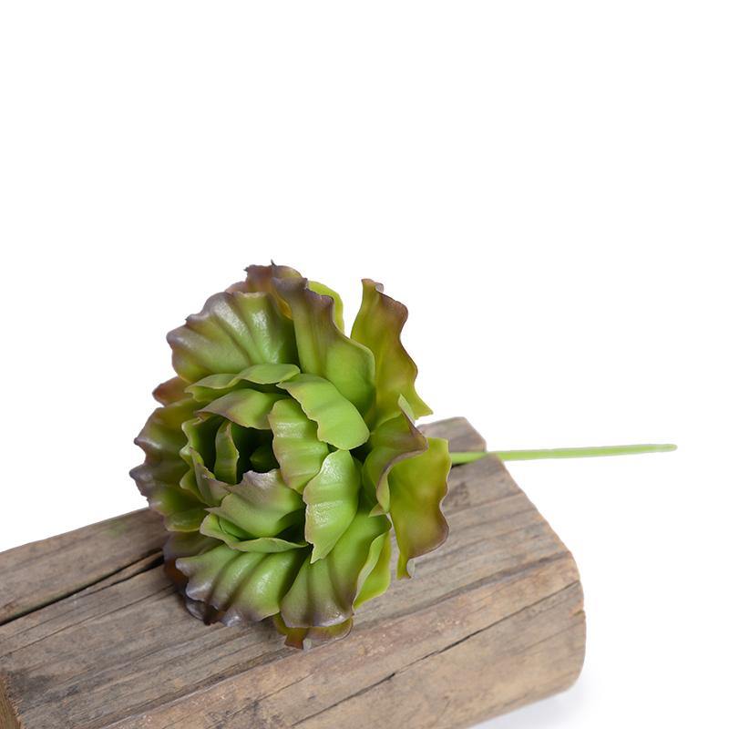 Succulent Pick, Cabbage - Red Green - New Growth Designs
