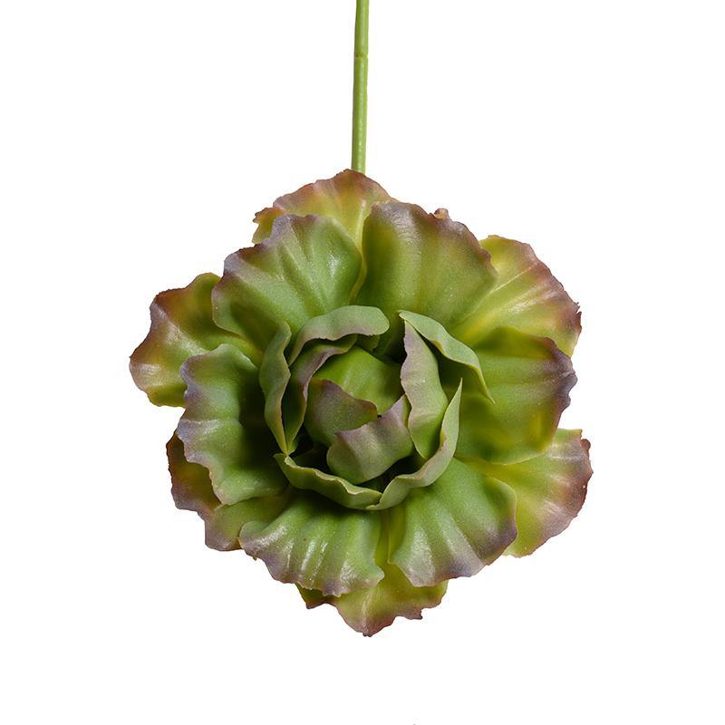 Succulent Pick, Cabbage - Red Green - New Growth Designs