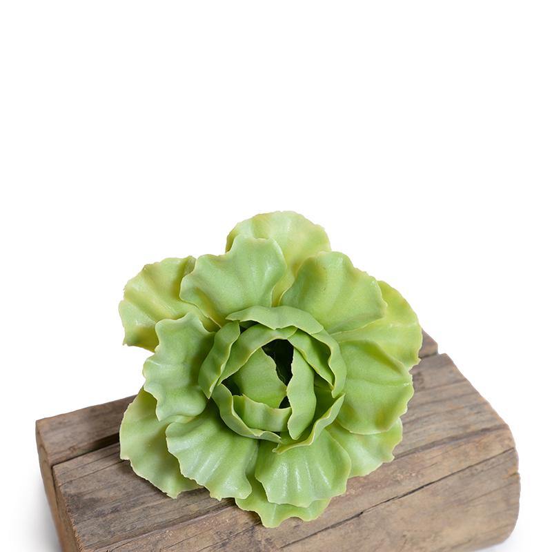 Succulent Pick, Cabbage - Light Green - New Growth Designs