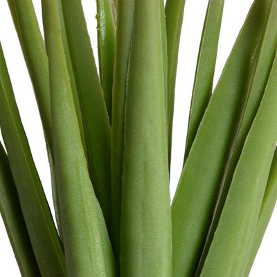 Succulent Pick, Aloe - New Growth Designs