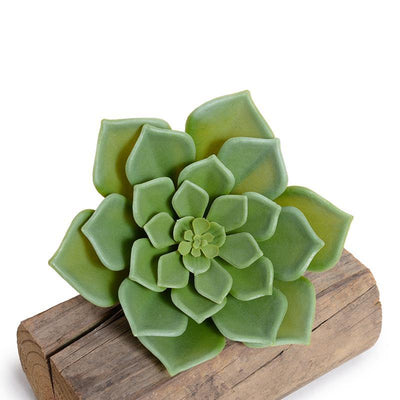 Wholesale Artificial Succulent Stem Pick, Echeveria Outdoor 7 Inches Tall - Enduraleaf by New Growth Designs