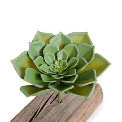 Succulent Pick, Echeveria - New Growth Designs