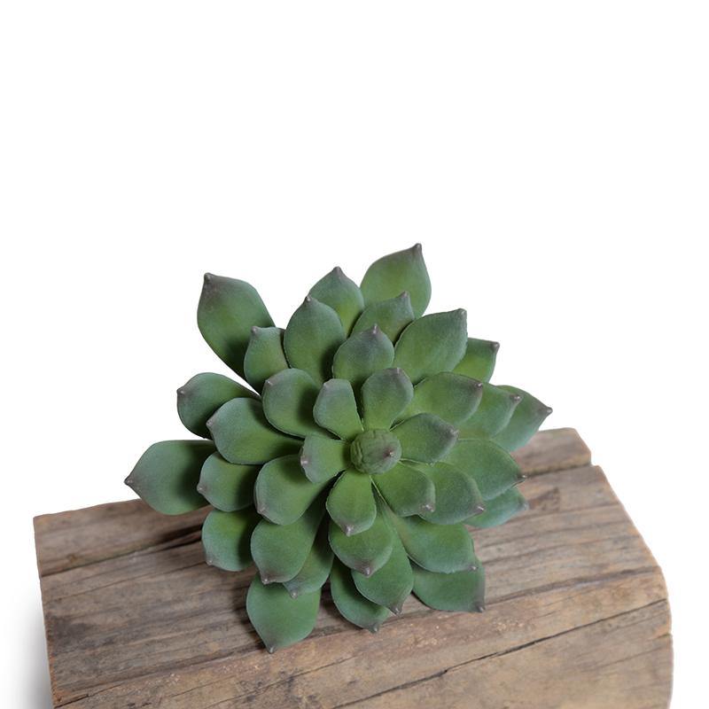 Wholesale Artificial Succulent Stem Pick, Pachyphytum Gray Outdoor 11 Inches Tall - Enduraleaf by New Growth Designs