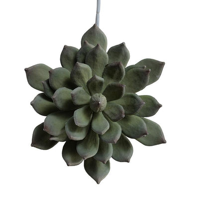 Succulent Pick, Pachyphytum - Gray - New Growth Designs
