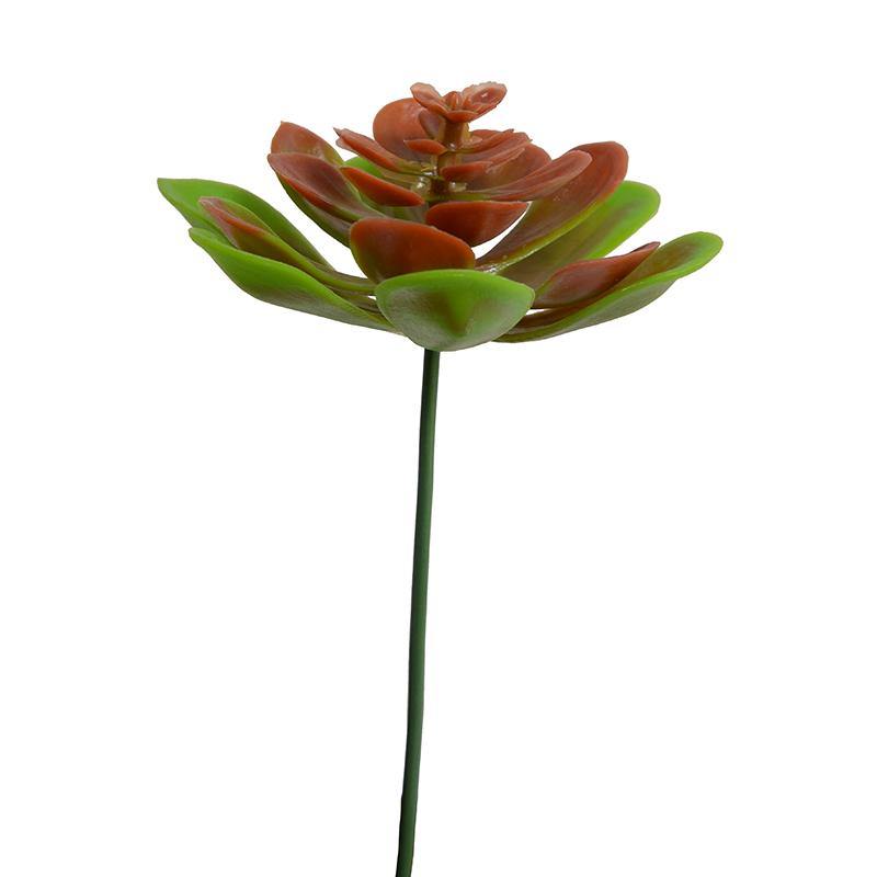 Succulent Pick, Aeonium - Red Green - New Growth Designs