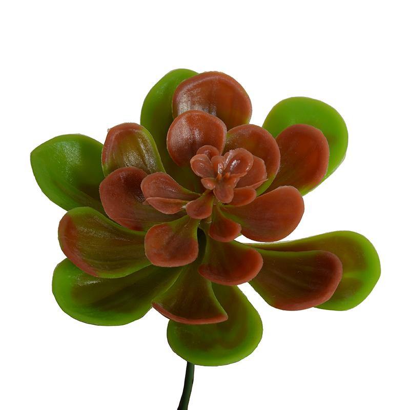 Succulent Pick, Aeonium - Red Green - New Growth Designs