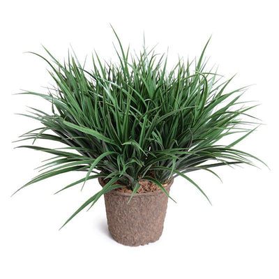 Wholesale Artificial Ornamental Grass, Liriope Green Outdoor - Enduraleaf by New Growth Designs