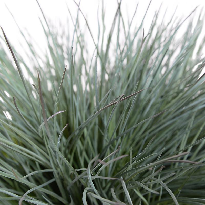 Onion Grass - Gray Green - New Growth Designs