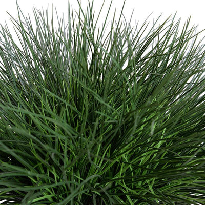 Onion Grass - Green - New Growth Designs