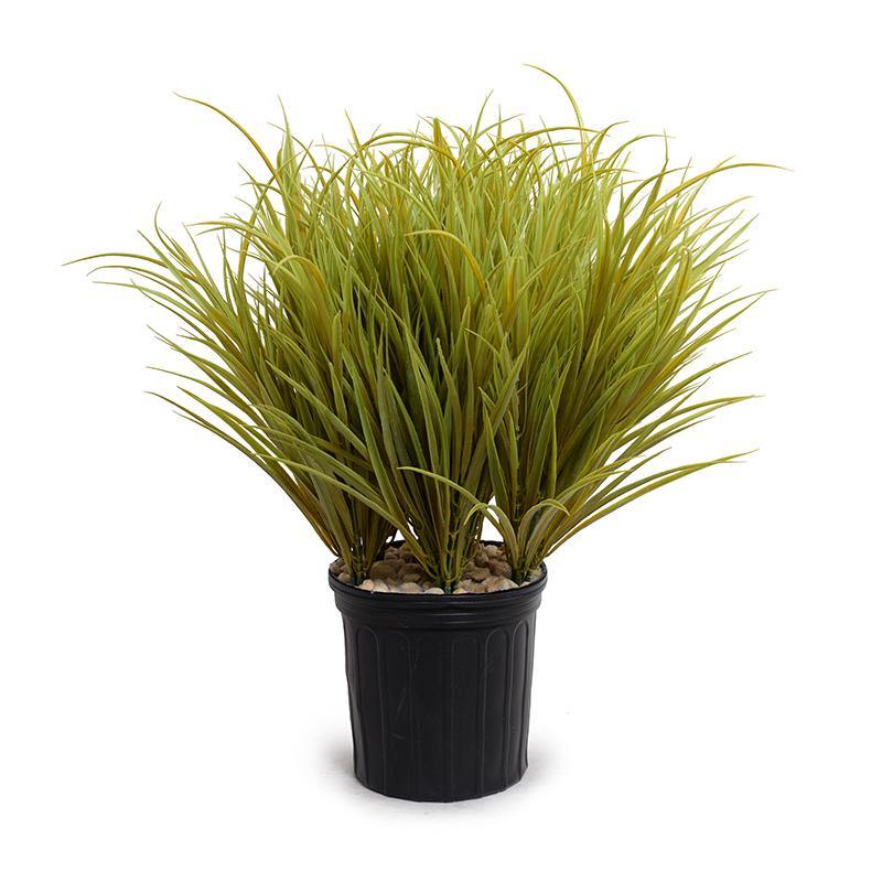 Orchard Grass - Yellow Green - New Growth Designs