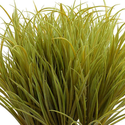 Orchard Grass - Yellow Green - New Growth Designs