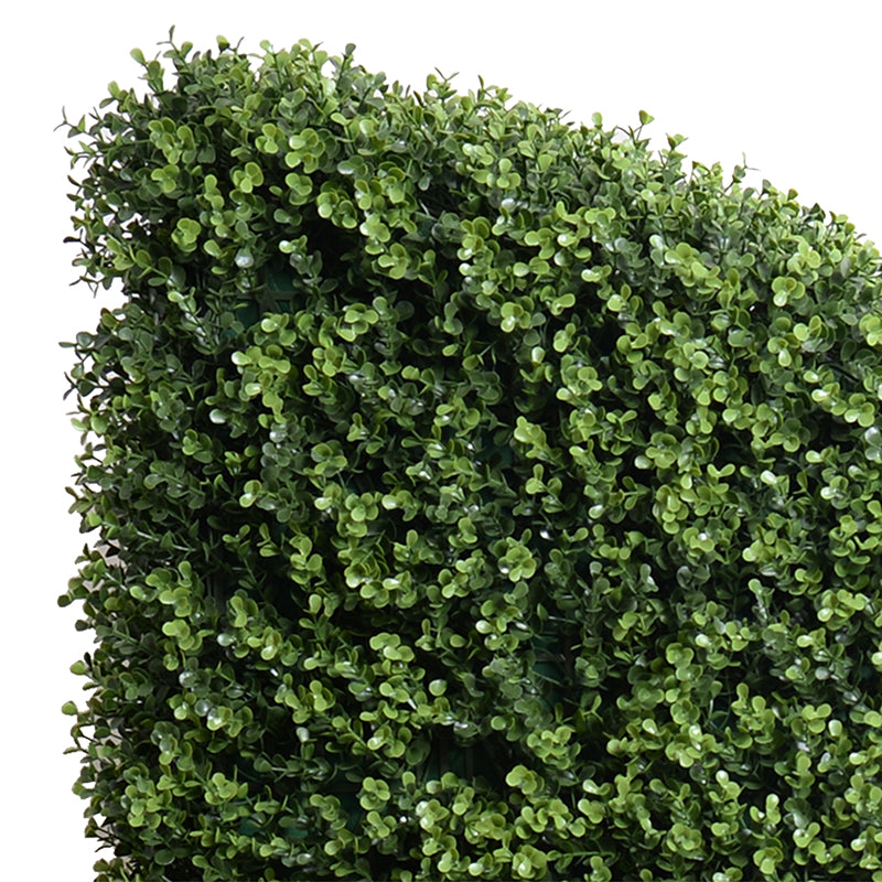 42" x 62"H Boxwood Transition Hedge in 45" planter