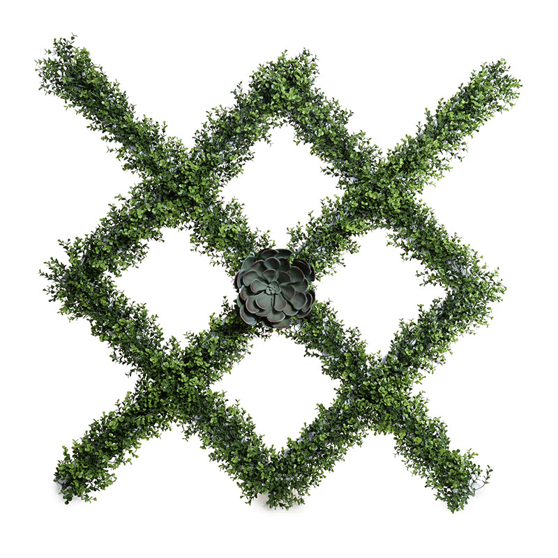 Boxwood Garden Trellis w/Aeonium Succulent 42"