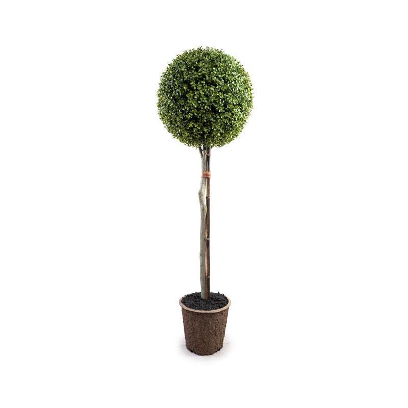 15" Boxwood Ball Topiary - New Growth Designs
