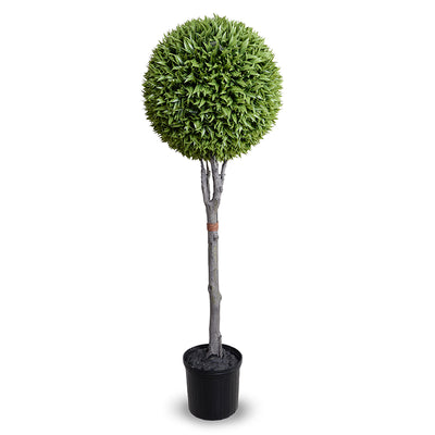 23" Broadleaf Podocarpus Ball Topiary, 70"H