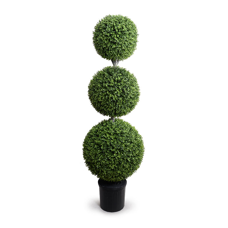 Boxwood Triple Ball Topiary, 72"H