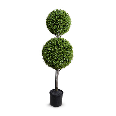 Broadleaf Podocarpus Ball Double Topiary 72"H
