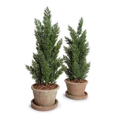 Cone-shaped Italian Cypress in Rustic Terracotta, 22" - New Growth Designs