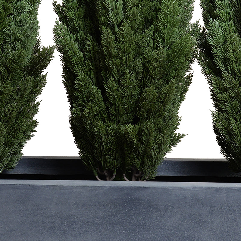 Italian Cypress x3 and 45" Planter, 45"L x 14.5"W x 68"H