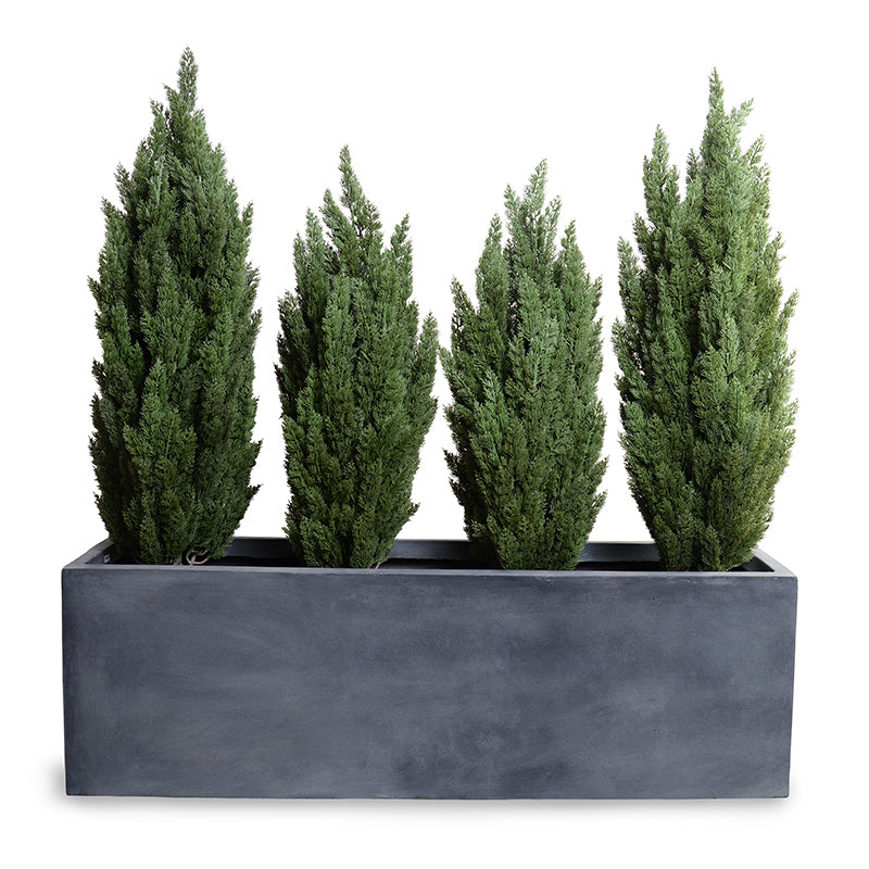 5', 4' Italian Cypress and 65" Planter, 65"L x 14.5"W x 68"H