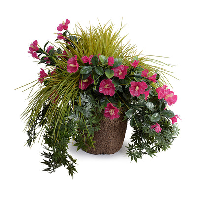 Mixed Arrangement with Petunia and Japanese Maple in Fiberglass Planter