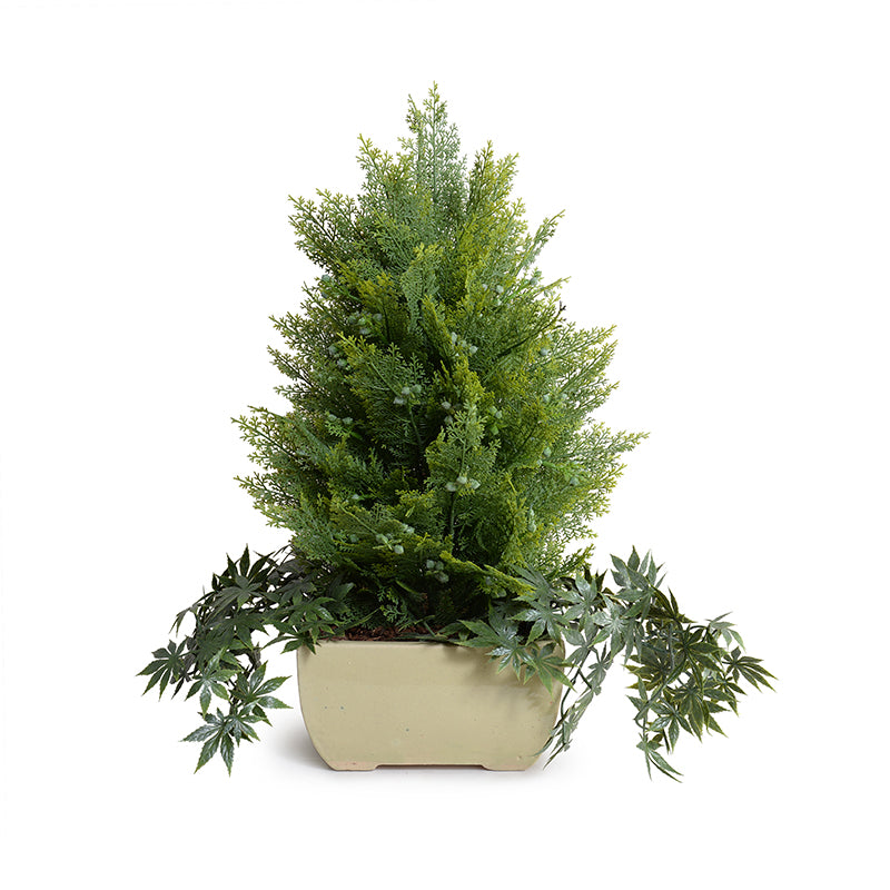 Arborvitae Tabletop plant w/vine, 28"H