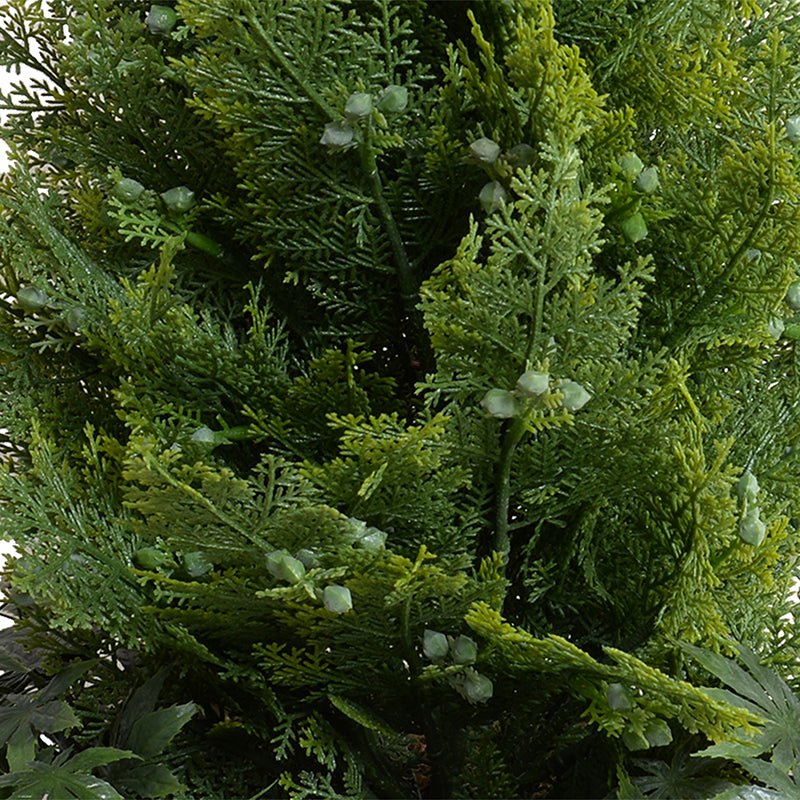 Arborvitae Tabletop plant w/vine, 28"H