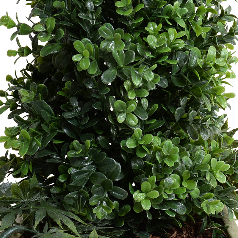 Boxwood Tabletop plant w/vine, 24"H