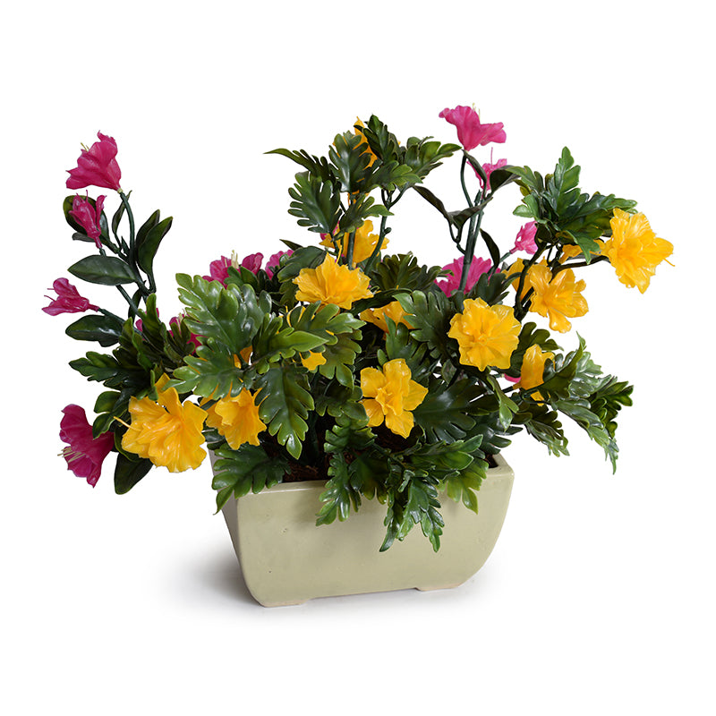 Coleus, Petunia Mixed planter, Tabletop, 15"H