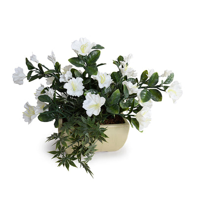 Petunia Tabletop arrangement, 15"H -White