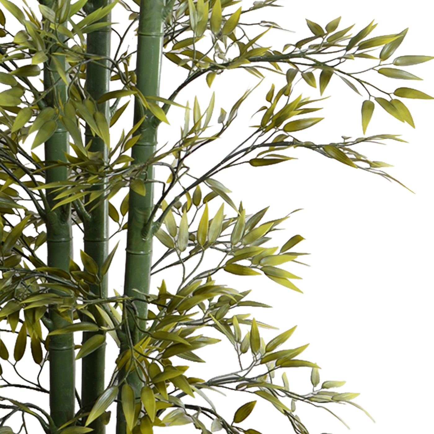 Bamboo Tree w/3 Stalks - 9'H -Yellow-green
