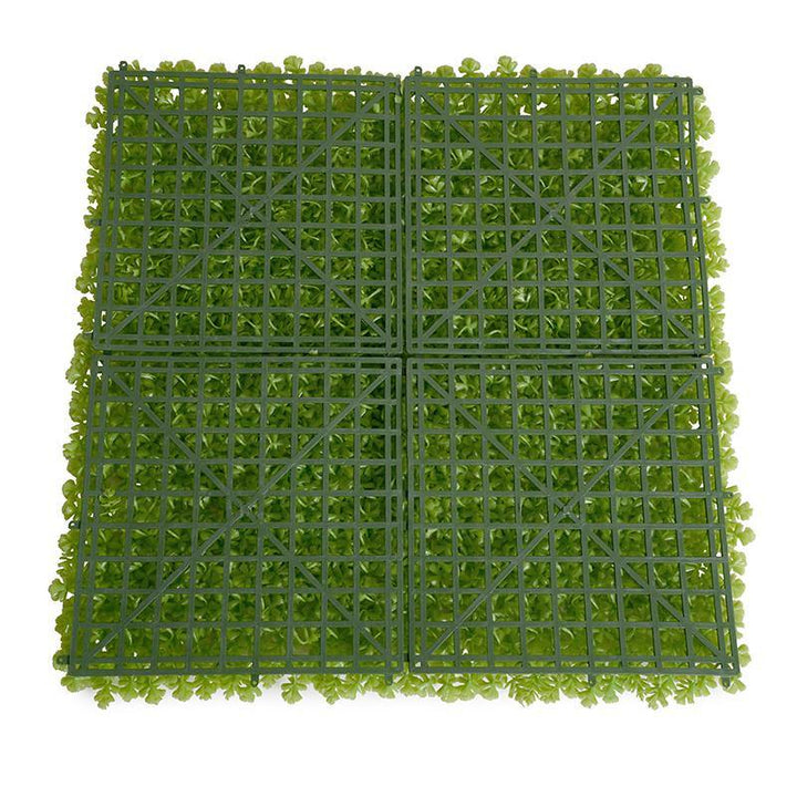 Sedum Panel 21