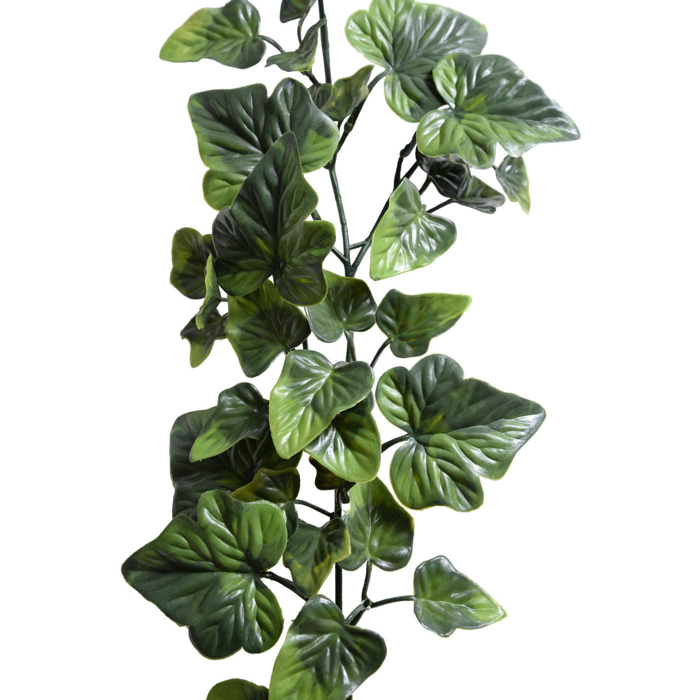 Ivy Vine/Garland, 6'L - New Growth Designs