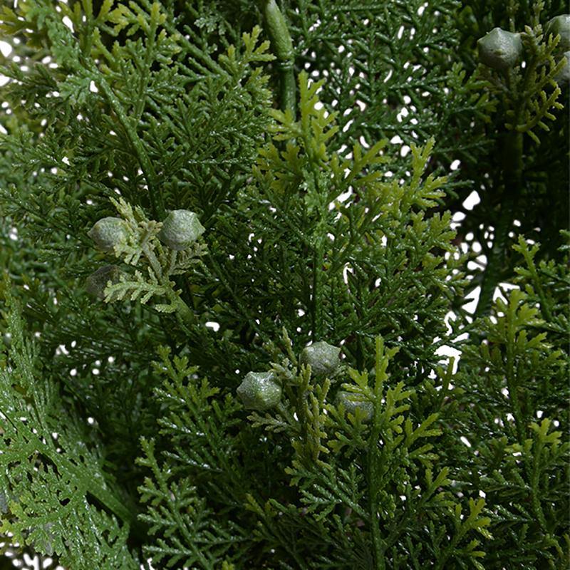 Arborvitae Shrub, Small, 30"H - New Growth Designs