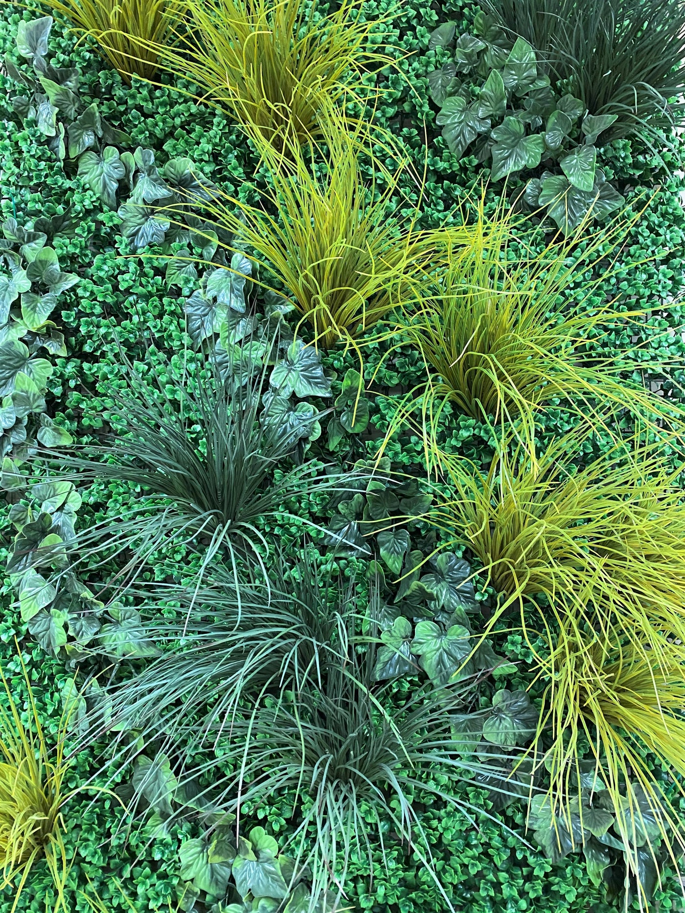 4' x 8' Green Wallscape Kit - Pachysandra, Grasses, Ivy