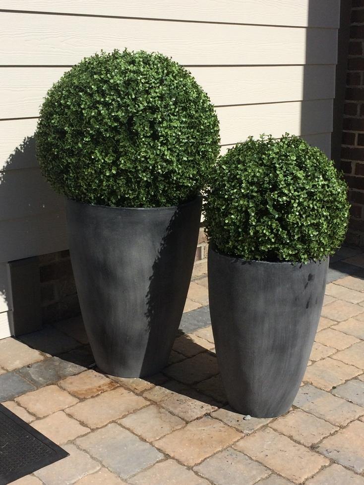 22" Boxwood Ball in Tapered Pot - New Growth Designs