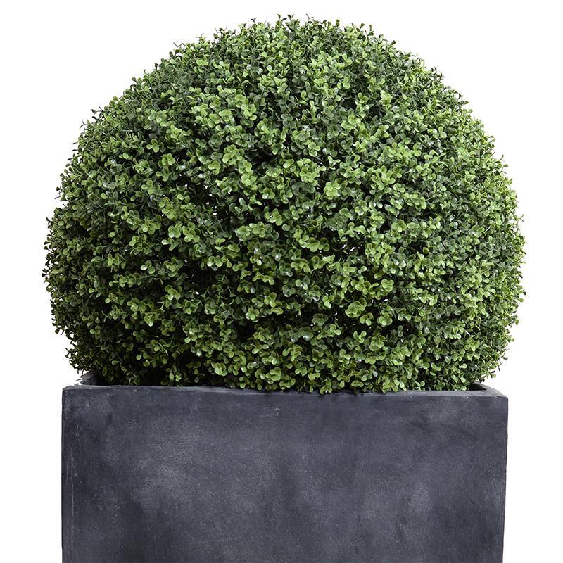 28" Boxwood Ball in Square Pot, 48"H - New Growth Designs