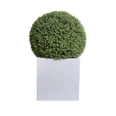 28" Boxwood Ball in Square Pot, 42"H - New Growth Designs