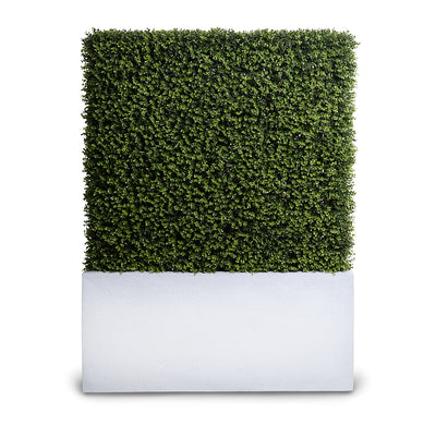 42"L x 42"H Boxwood Hedge with planter, 62"H