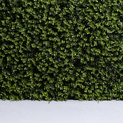 42"L x 42"H Boxwood Hedge with planter, 62"H