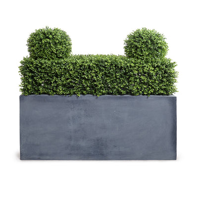12" x 42"L Boxwood Low Hedge with Planter